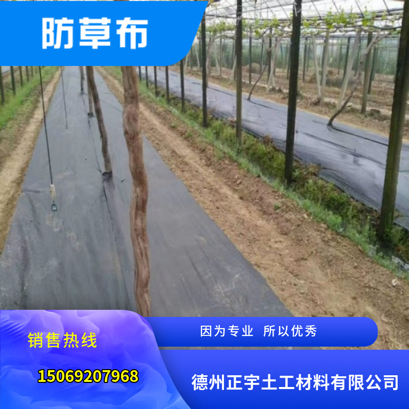 农业用除草园艺地布（防草布）