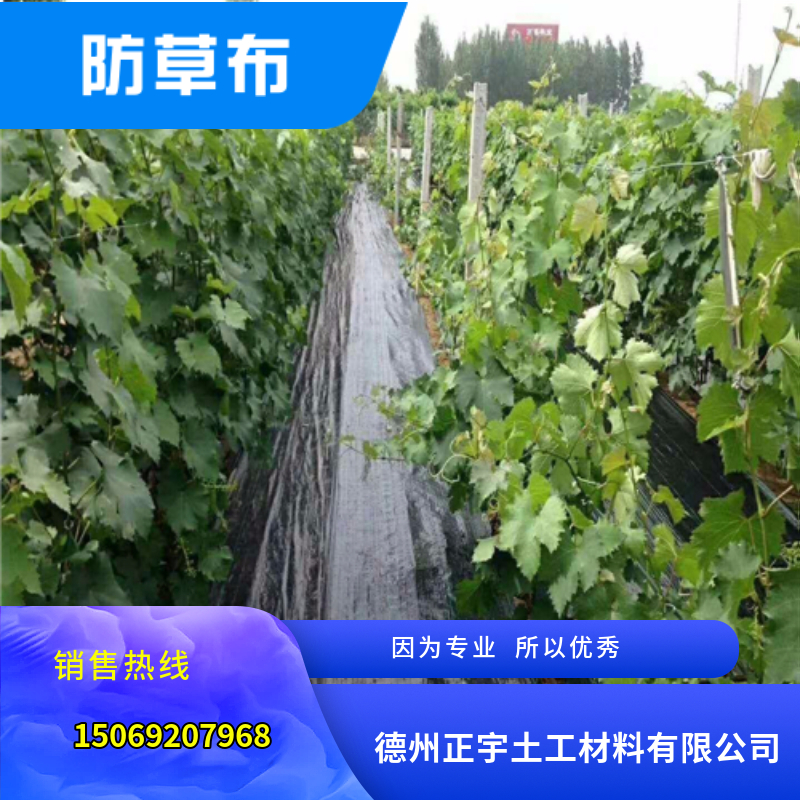 葡萄种植园专用防草布（园艺地布）